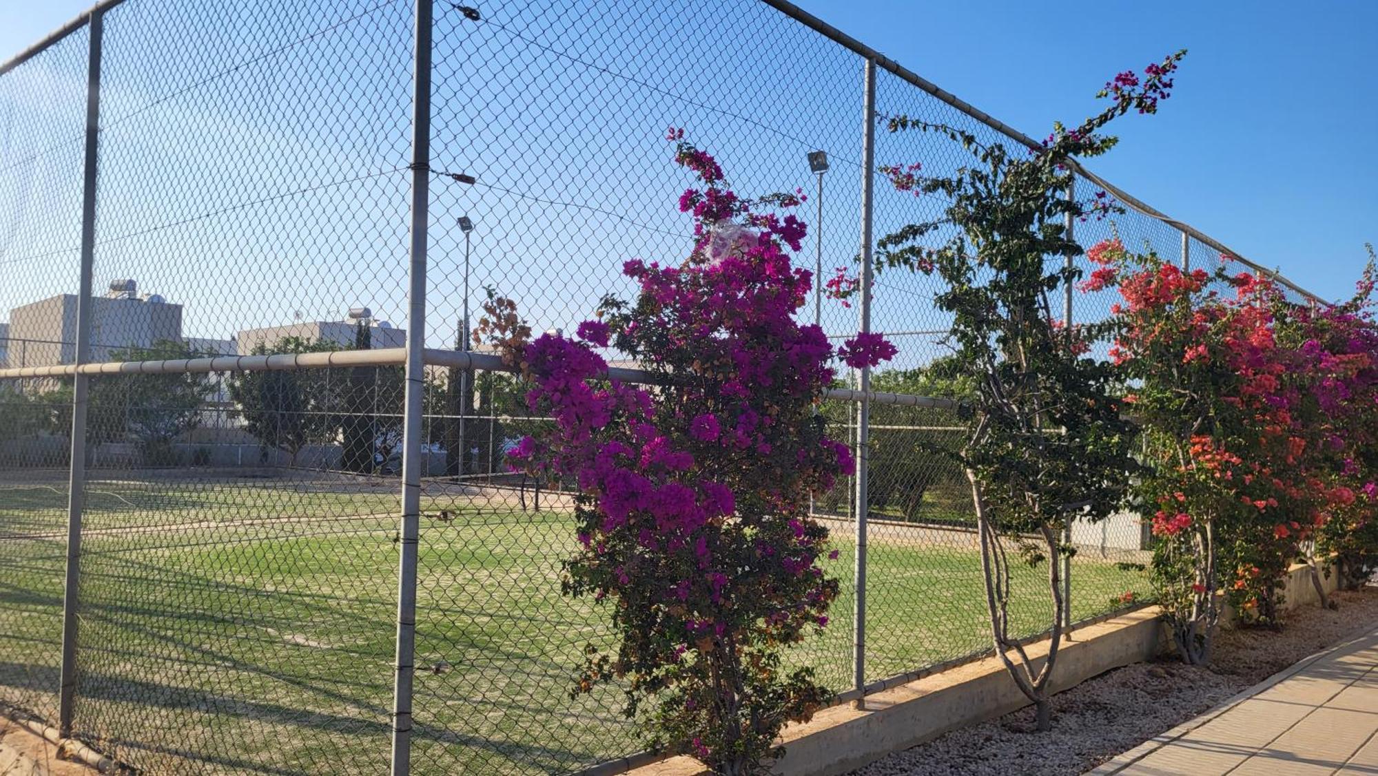 Mythical Sands Resort - Hana Paralimni Room photo